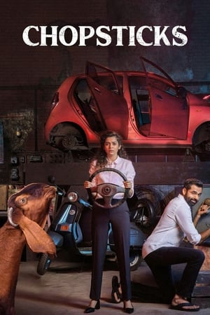 Chopsticks 2019 Movie | Dubbed Hindi Movie HDRip - [300MB]