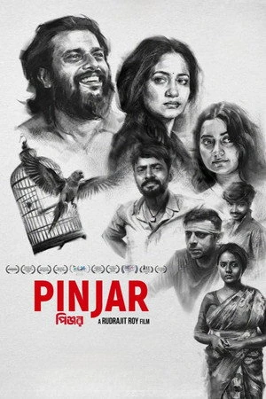 Pinjar 2026 Line HQ HDTC | Dubbed Hindi Movie