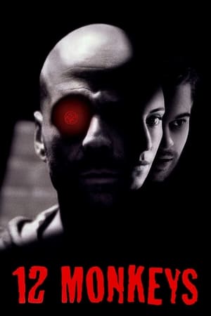 Twelve Monkeys (1995) Dual Audio | Dubbed Hindi Movie BluRay 450MB